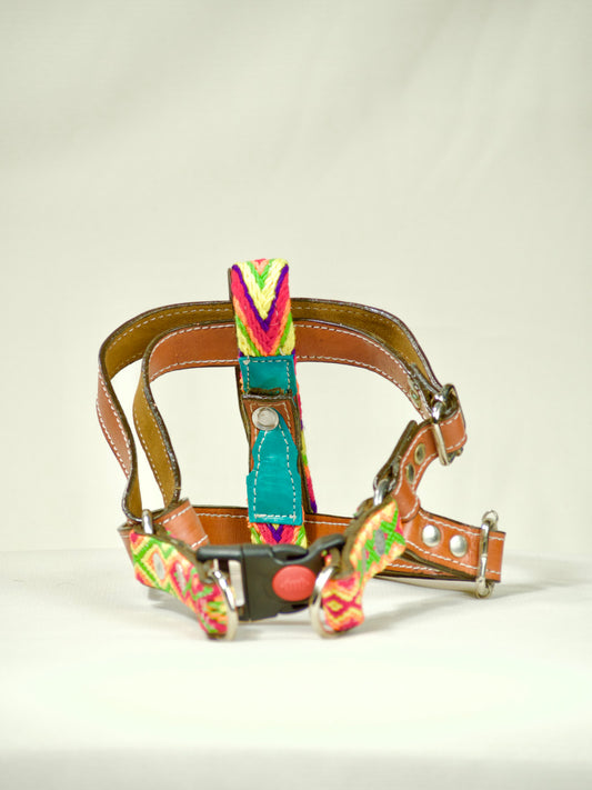 Arnés artesanal 'Proteger' Biricú Pets